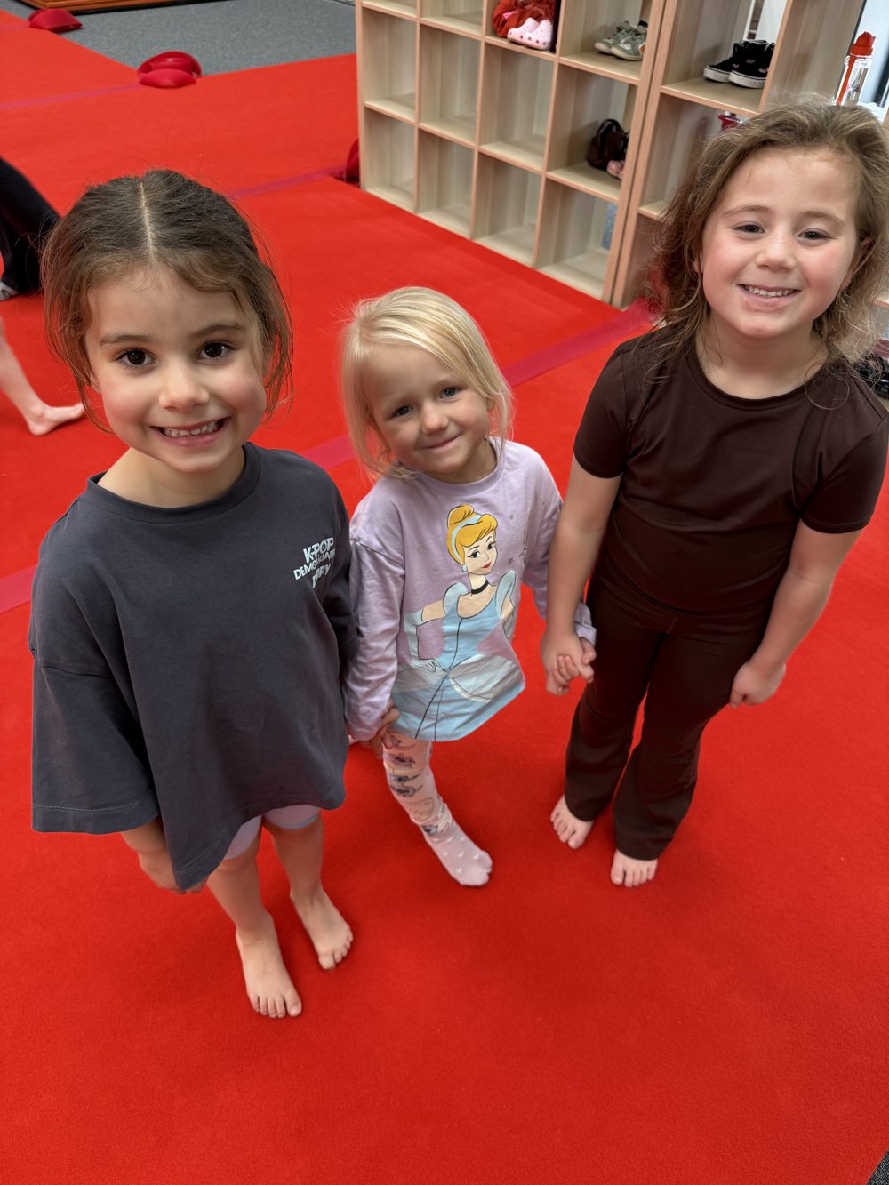 Three gymnasts in the gym